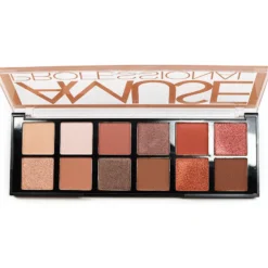 Cosmetics Amuse Professional Artist Eyeshadow Palette