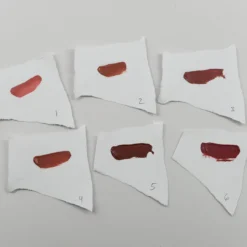 Amuse Professional Matte Lips Collection Set Of 12 (LIP2117)