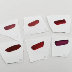 Amuse Professional Matte Lips Collection Set Of 12 (LIP2117)