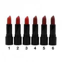Everything For $1 Amuse Matte Lipstick (LIP7294)