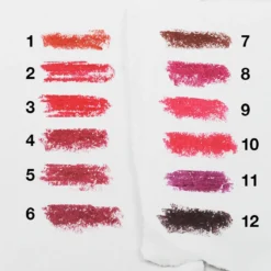 Everything For $1 Amuse Matte Lipstick (LIP7294)
