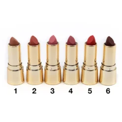 Amuse Gilded Lips Matte Lipstick (LIP7313)
