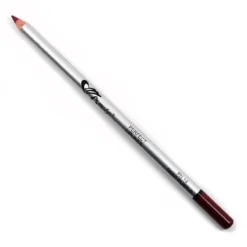 Everything For $1 Amuse Perfect Lipliner Long Pencil - Deep Purple