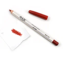 Amuse Vivid Lips Lipliner (Burnt Red) Everything For $1
