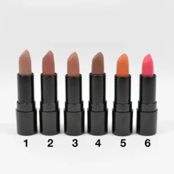 Amuse Creamy Matte Lipstick (LIP7302)