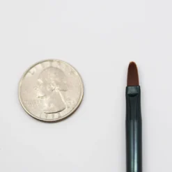 Everything For $1 Kleancolor Lip Brush